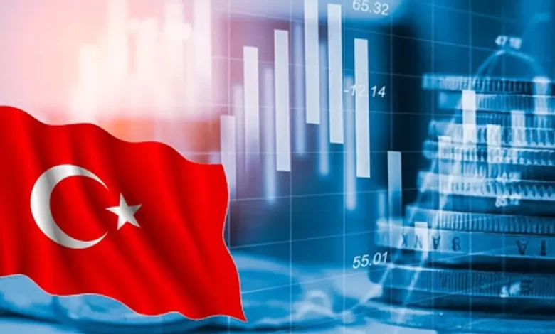 الاستثمار في البنوك التركية