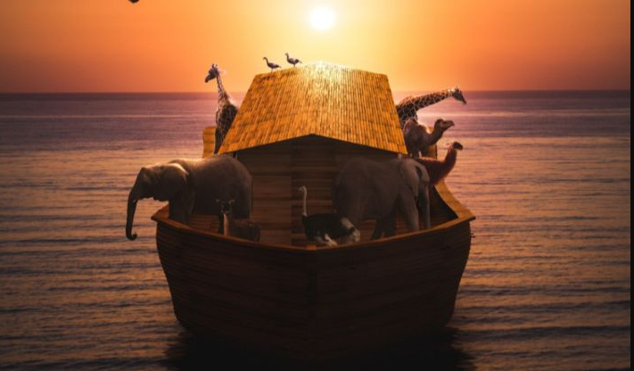 الحيوانات التي خلقت في سفينة نوح